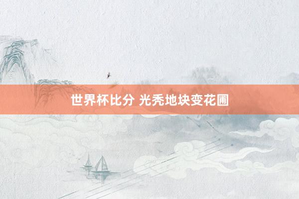 世界杯比分 光秃地块变花圃