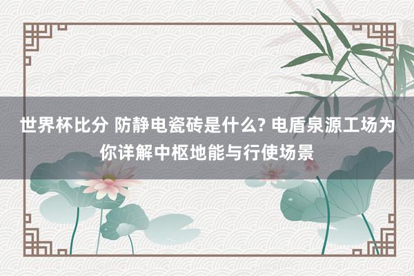 世界杯比分 防静电瓷砖是什么? 电盾泉源工场为你详解中枢地能与行使场景