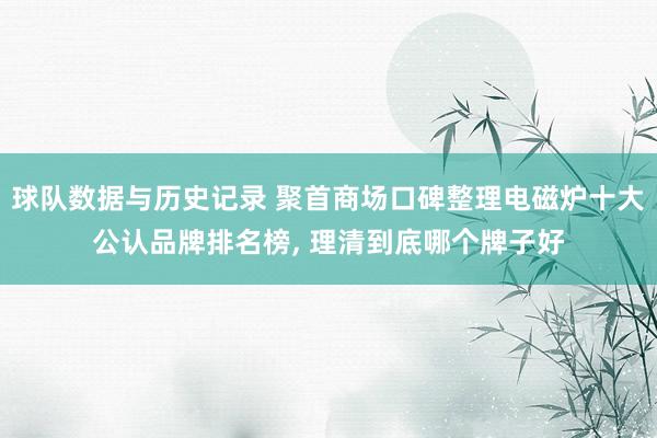 球队数据与历史记录 聚首商场口碑整理电磁炉十大公认品牌排名榜, 理清到底哪个牌子好