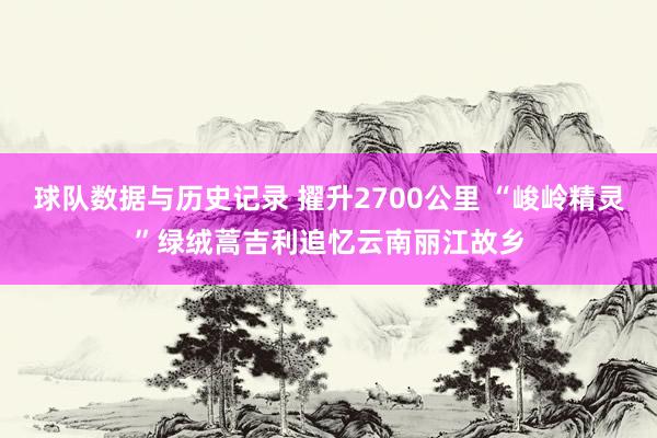 球队数据与历史记录 擢升2700公里 “峻岭精灵”绿绒蒿吉利追忆云南丽江故乡