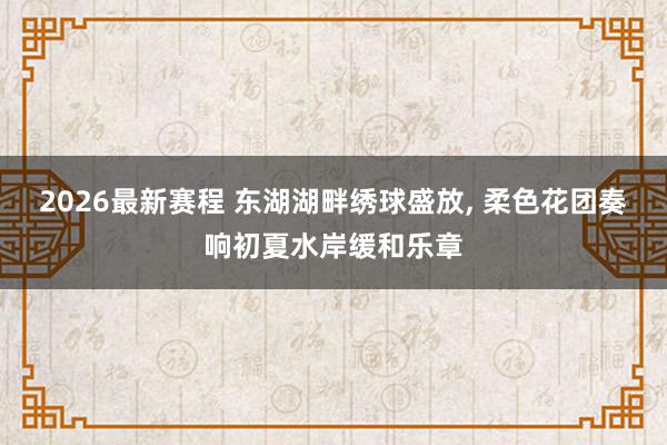 2026最新赛程 东湖湖畔绣球盛放， 柔色花团奏响初夏水岸缓和乐章