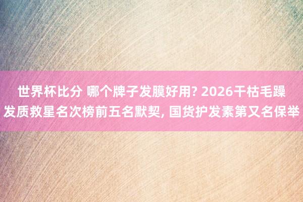 世界杯比分 哪个牌子发膜好用? 2026干枯毛躁发质救星名次榜前五名默契, 国货护发素第又名保举