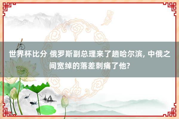 世界杯比分 俄罗斯副总理来了趟哈尔滨, 中俄之间宽绰的落差刺痛了他?