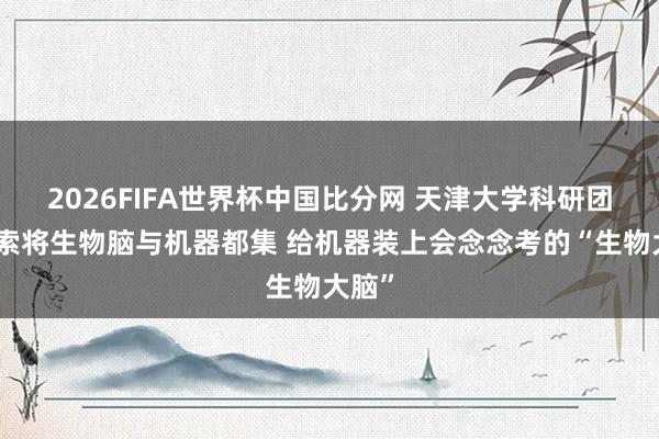 2026FIFA世界杯中国比分网 天津大学科研团队探索将生物脑与机器都集 给机器装上会念念考的“生物大脑”