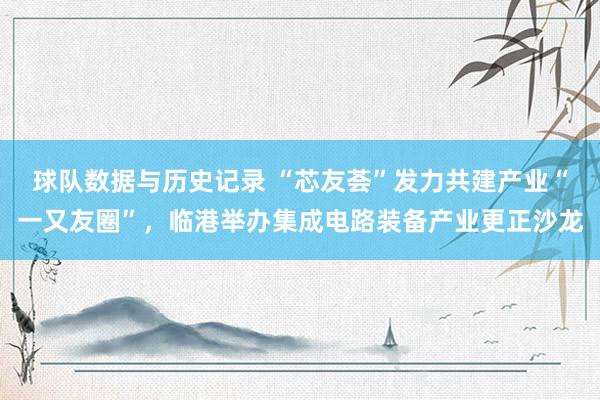 球队数据与历史记录 “芯友荟”发力共建产业“一又友圈”,临港举办集成电路装备产业更正沙龙