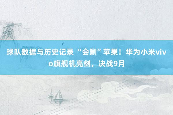 球队数据与历史记录 “会剿”苹果!华为小米vivo旗舰机亮剑,决战9月