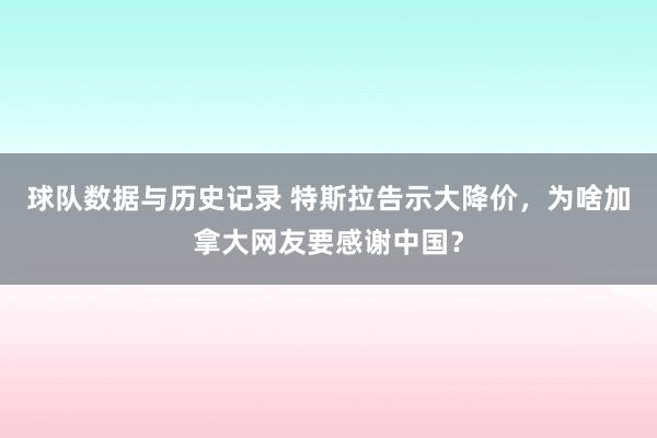 球队数据与历史记录 特斯拉告示大降价,为啥加拿大网友要感谢中国?