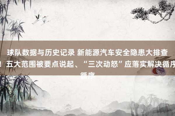 球队数据与历史记录 新能源汽车安全隐患大排查!五大范围被要点说起、“三次动怒”应落实解决循序