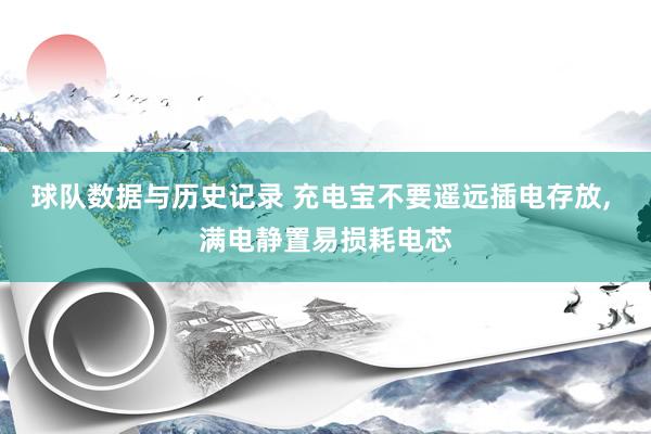 球队数据与历史记录 充电宝不要遥远插电存放， 满电静置易损耗电芯