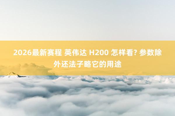 2026最新赛程 英伟达 H200 怎样看? 参数除外还法子略它的用途