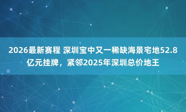 2026最新赛程 深圳宝中又一稀缺海景宅地52.8亿元挂牌，紧邻2025年深圳总价地王