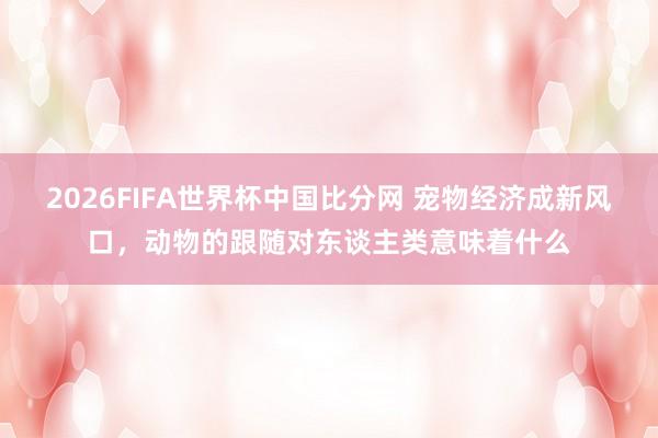 2026FIFA世界杯中国比分网 宠物经济成新风口,动物的跟随对东谈主类意味着什么