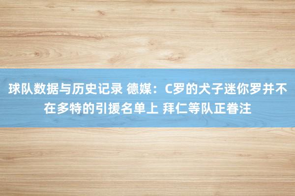 球队数据与历史记录 德媒:C罗的犬子迷你罗并不在多特的引援名单上 拜仁等队正眷注