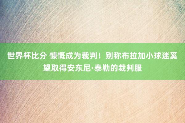 世界杯比分 慷慨成为裁判!别称布拉加小球迷奚望取得安东尼·泰勒的裁判服