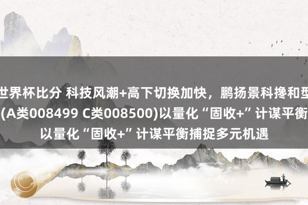 世界杯比分 科技风潮+高下切换加快,鹏扬景科搀和型证券投资基金(A类008499 C类008500)以量化“固收+”计谋平衡捕捉多元机遇