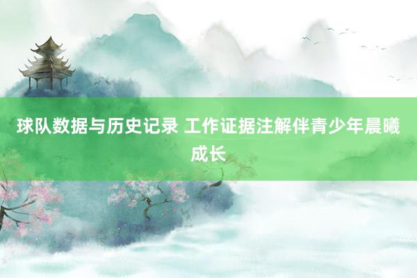 球队数据与历史记录 工作证据注解伴青少年晨曦成长