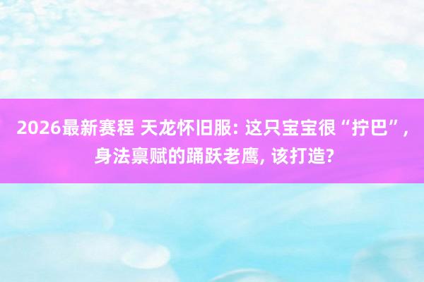 2026最新赛程 天龙怀旧服: 这只宝宝很“拧巴”, 身法禀赋的踊跃老鹰, 该打造?