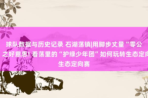 球队数据与历史记录 石湖荡镇|用脚步丈量“零公里”之好意思! 看荡里的“护绿少年团”如何玩转生态定向赛