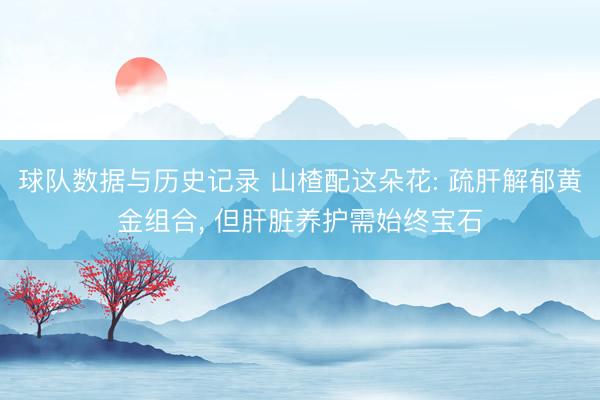 球队数据与历史记录 山楂配这朵花: 疏肝解郁黄金组合, 但肝脏养护需始终宝石