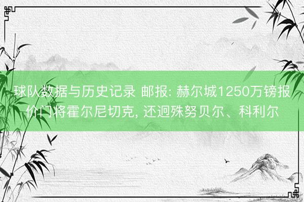 球队数据与历史记录 邮报: 赫尔城1250万镑报价门将霍尔尼切克, 还迥殊努贝尔、科利尔